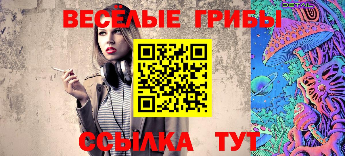 Галлюциногенные грибы мицелий Камышин